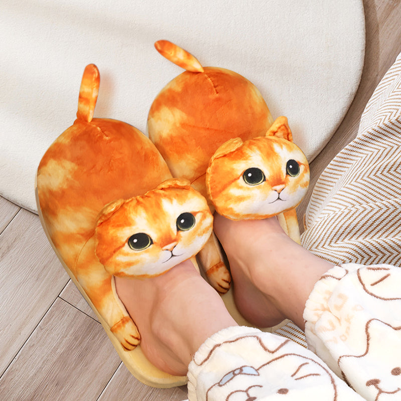 Wear Cute Fuzzy Cat Slippers