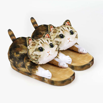 Tabby Cat Slippers